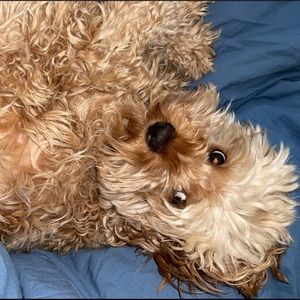 Meet your Posher, Jordy